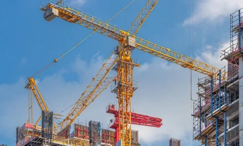 cranes-4811867_640 cranes-4811867_640